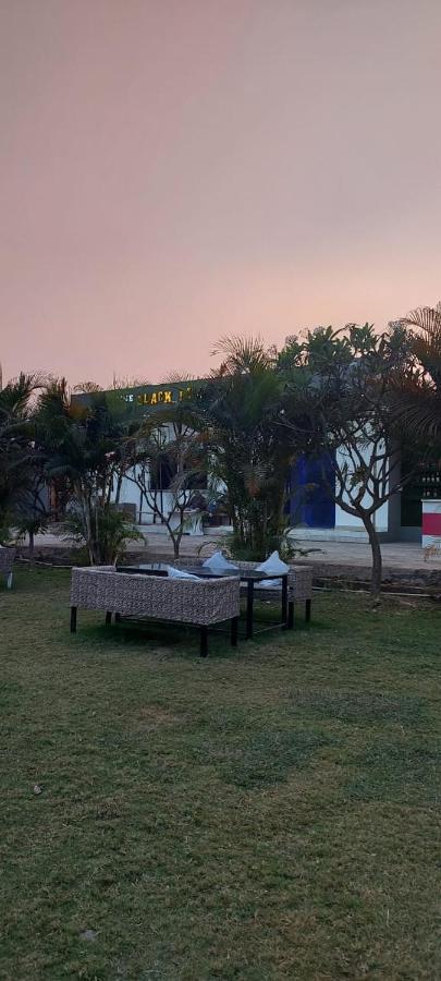 The Black Leaf Hotel Rāipur Kültér fotó